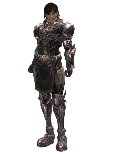 Apella (heavy armor) on a male Human mystic, front view
