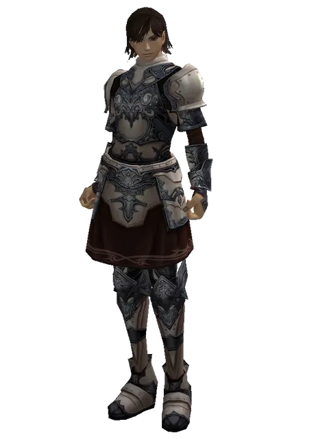 Avadon Heavy Set on a male Human mystic, front view