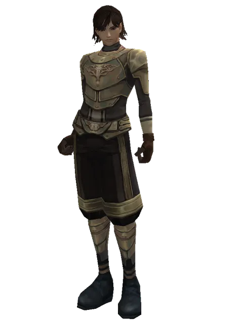 Bronze (heavy armor) on a male Human mystic, front view