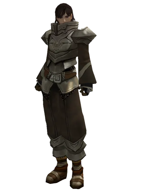 Dream (heavy armor) on a male Human mystic, front view