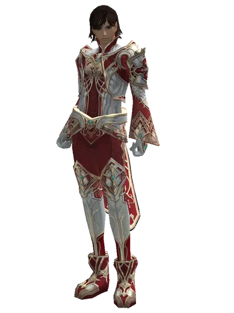 Dynasty [Shield Master] (heavy armor) on a male Human mystic, front view