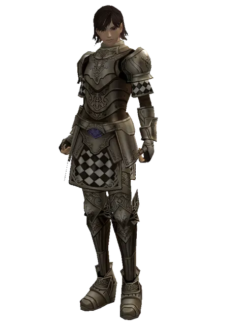Fullplate (heavy armor) on a male Human mystic, front view