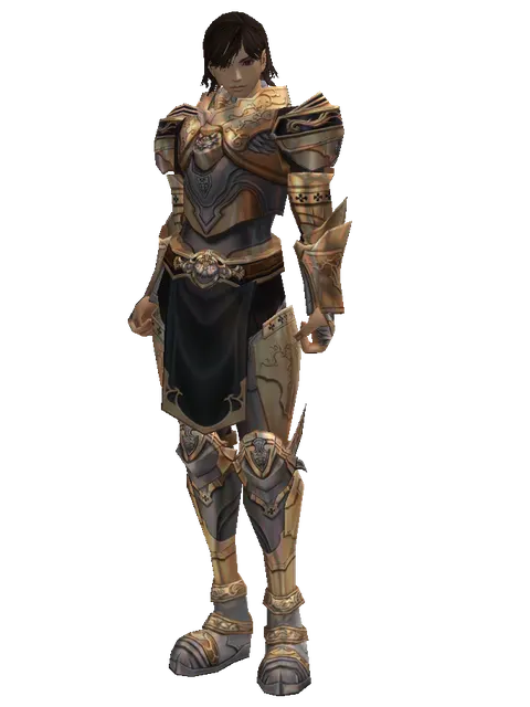 Imperial Crusader Set on a male Human mystic, front view