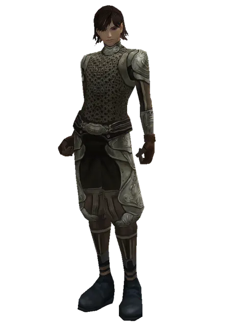 Ring Mail (heavy armor) on a male Human mystic, front view