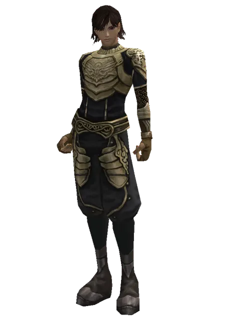 Ubiquitous (heavy armor) on a male Human mystic, front view