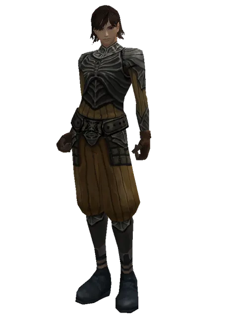 Bone (light armor) on a male Human mystic, front view