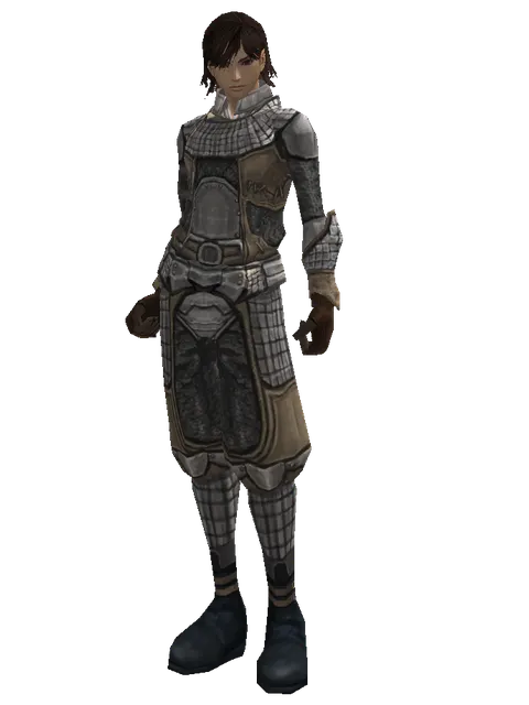 Lion Skin (light armor) on a male Human mystic, front view