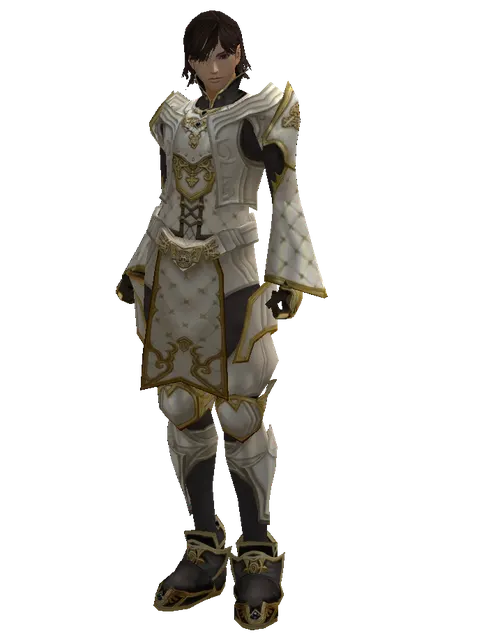 Majestic Leather Set on a male Human mystic, front view