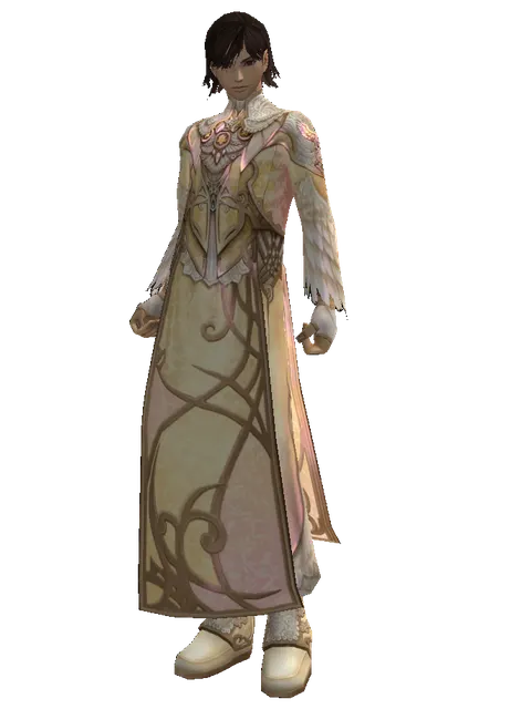 Major Arcana Robe Set on a male Human mystic, front view