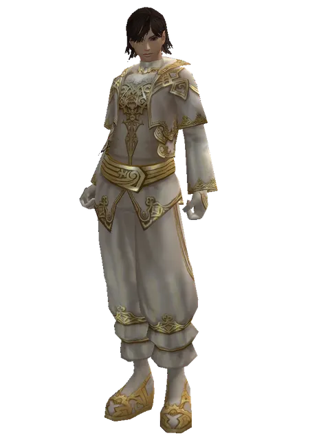 Majestic Robe Set on a male Human mystic, front view