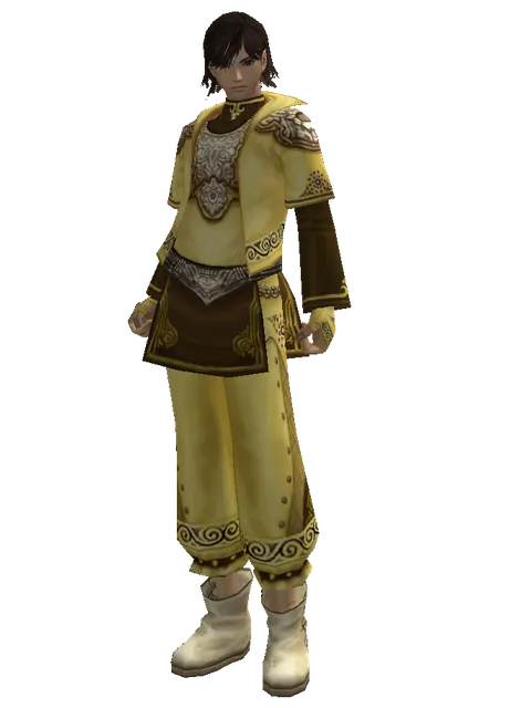 Mithril Set - Robe on a male Human mystic, front view