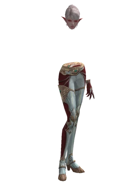 Dynasty Leather Set on a female Kamael, front view