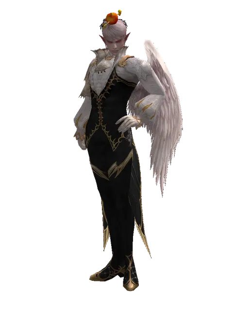 Apple Hat (?) on a male Kamael, front view