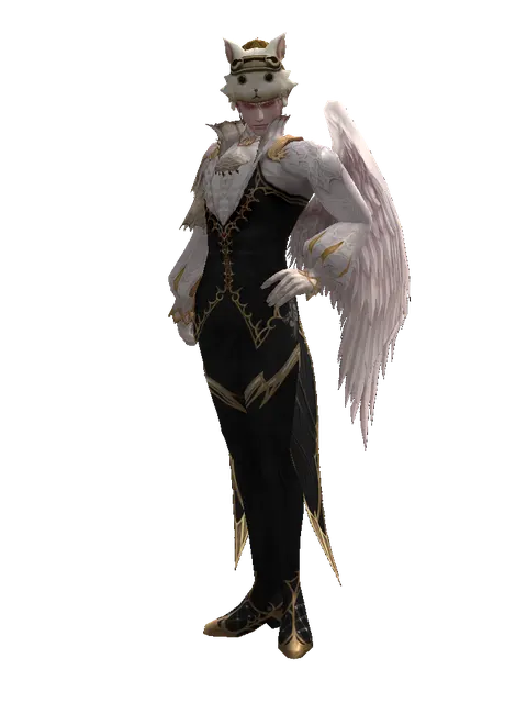 Cat the Cat Hat (?) on a male Kamael, front view