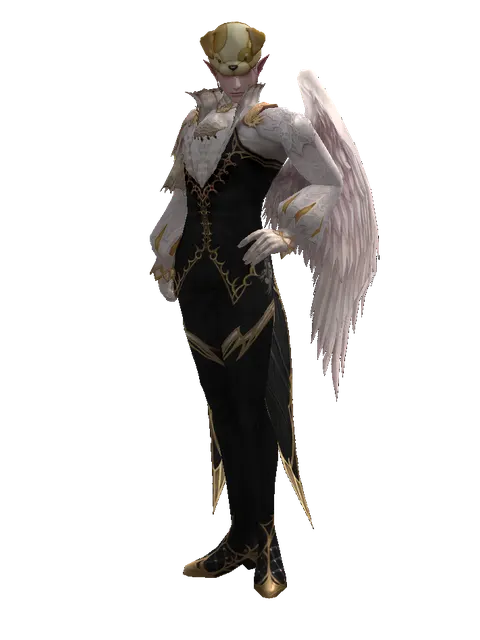 Jindo Hat (?) on a male Kamael, front view
