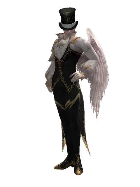Magician's Hat (?) on a male Kamael, front view
