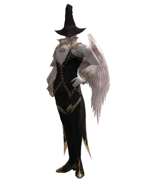 Wizard Hat on a male Kamael, front view