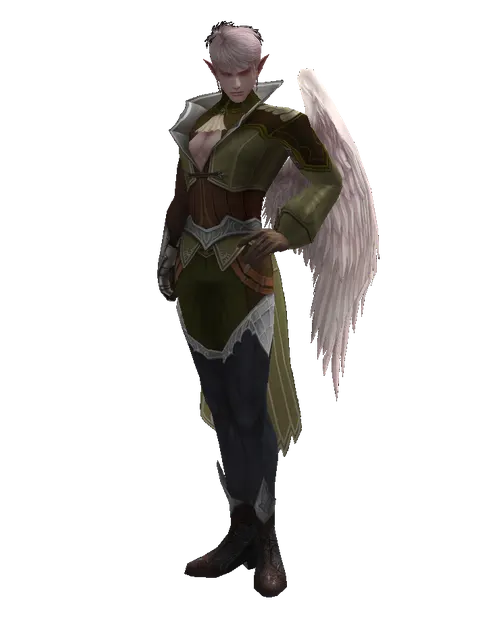 Hard Leather (light armor) on a male Kamael, front view