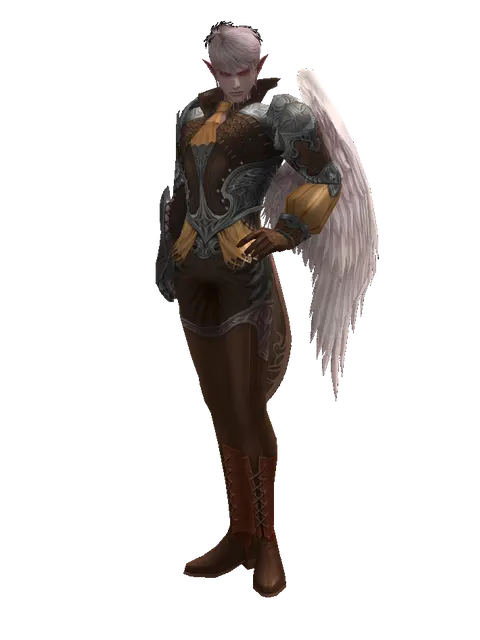 Rind Leather (light armor) on a male Kamael, front view