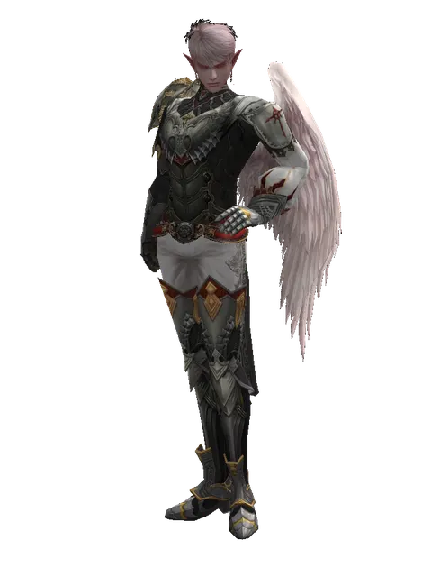 Tallum Leather Set on a male Kamael, front view