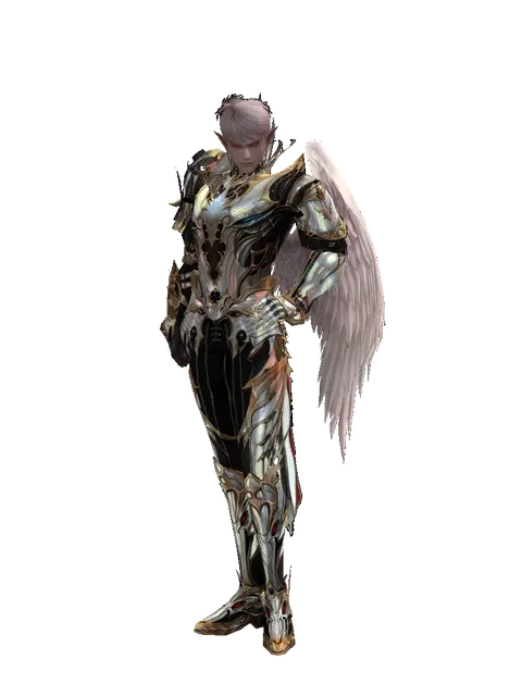 Noble Vesper + Fighter Cloak (light armor) on a male Kamael, front view