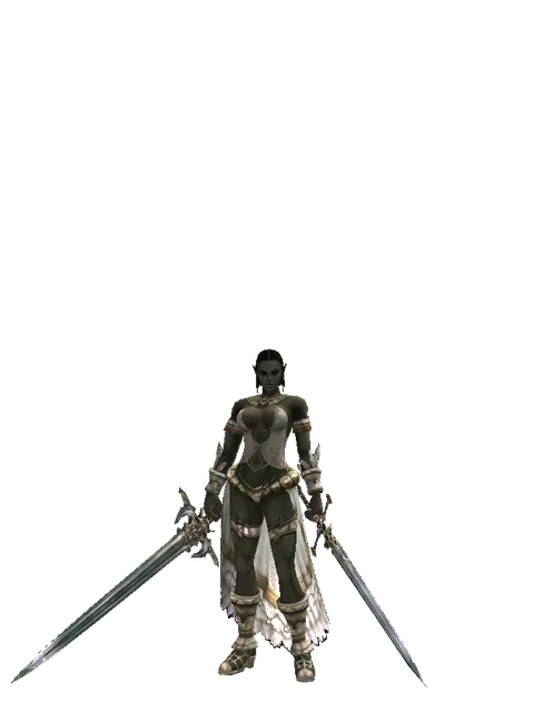 Dynasty Dual Sword on a female Orc fighter, front view