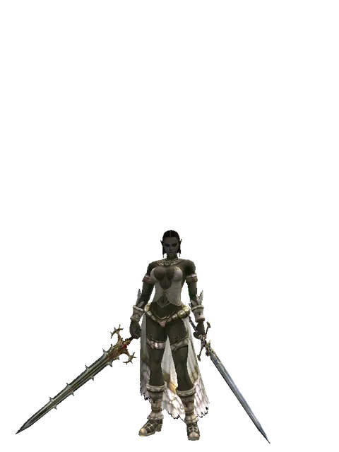 Icarus Dual Sword on a female Orc fighter, front view