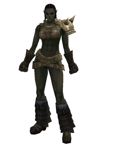 Bronze (heavy armor) on a female Orc fighter, front view