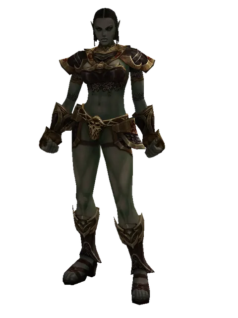 Chain Mail Set on a female Orc fighter, front view