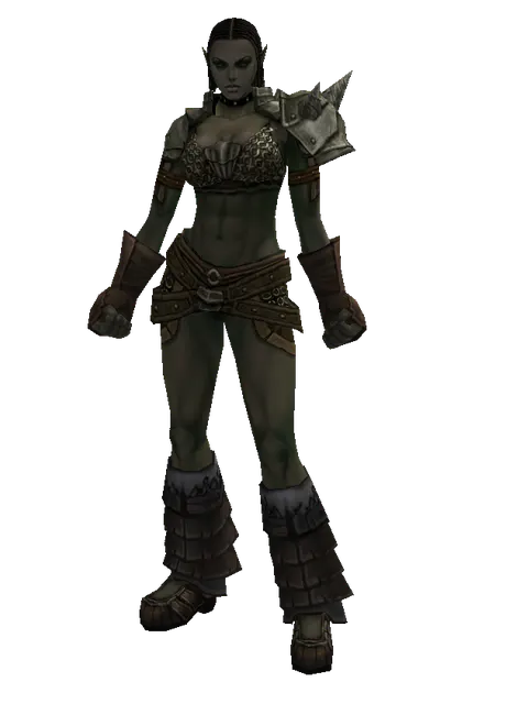 Ring Mail (heavy armor) on a female Orc fighter, front view