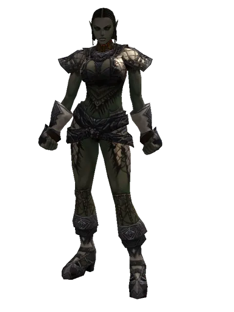 Avadon Leather Set on a female Orc fighter, front view