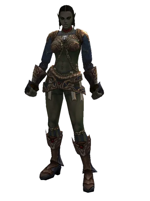 Blue Wolf Leather Set on a female Orc fighter, front view