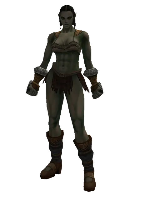 Leather (light armor) on a female Orc fighter, front view