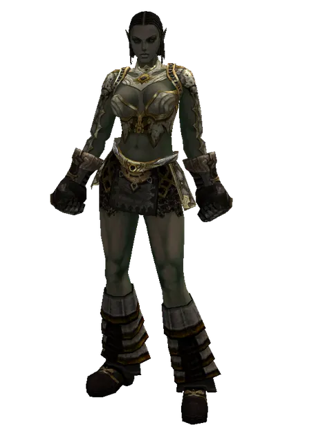 Majestic Leather Set on a female Orc fighter, front view