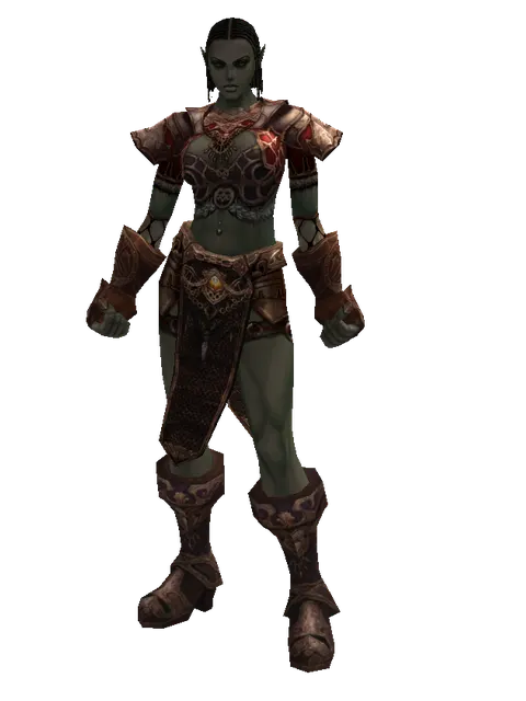 Leather Set of Nightmare on a female Orc fighter, front view