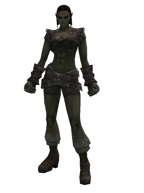 Reinforced Leather Set on a female Orc fighter, front view