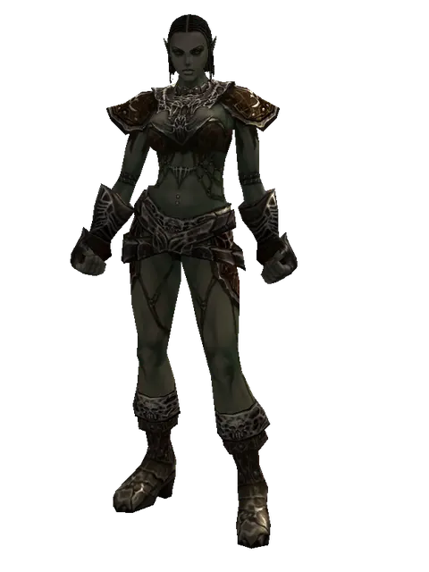 Rind Leather (light armor) on a female Orc fighter, front view