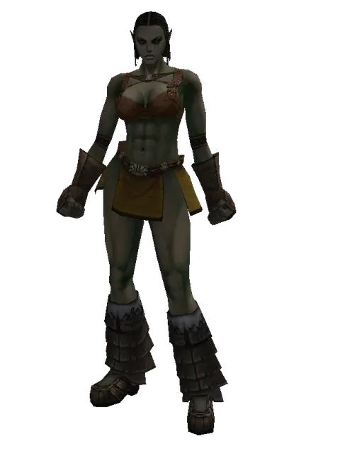 Squire's (light armor) on a female Orc fighter, front view