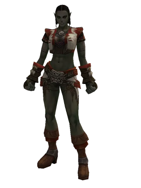 Theca Leather Set on a female Orc fighter, front view