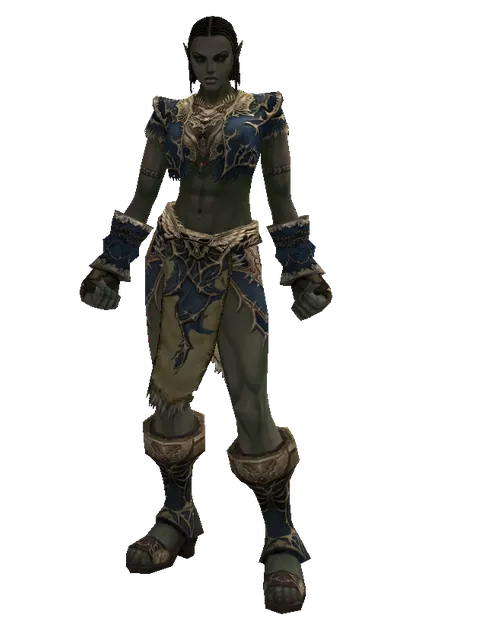 Blue Wolf Set - Robe on a female Orc fighter, front view