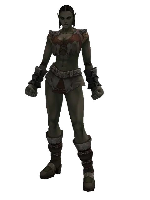 Set of Knowledge on a female Orc fighter, front view