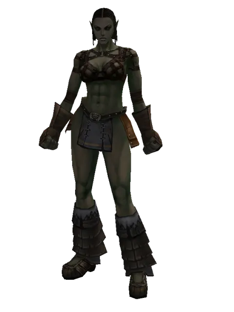 No Name (robe) on a female Orc fighter, front view