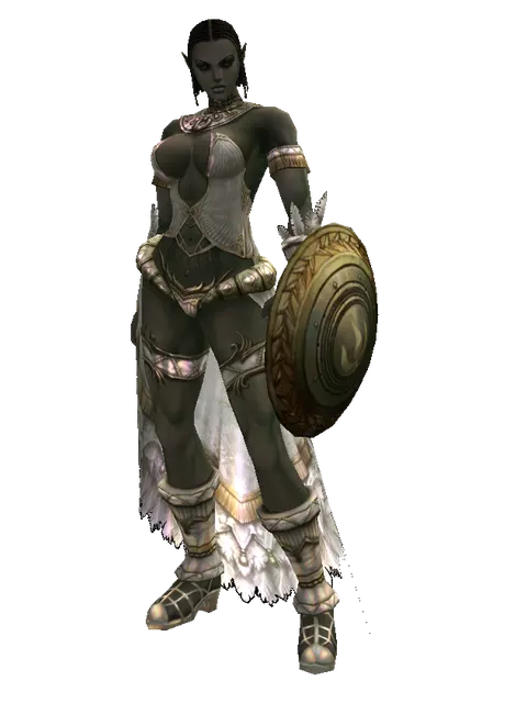 Bronze Shield on a female Orc fighter, front view