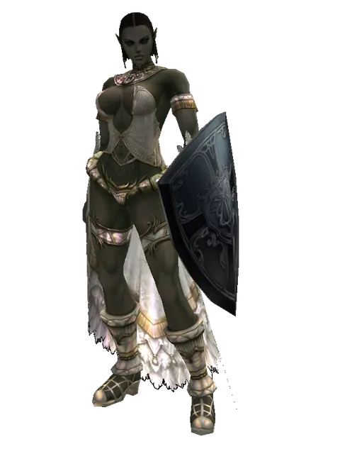 Kite Shield on a female Orc fighter, front view