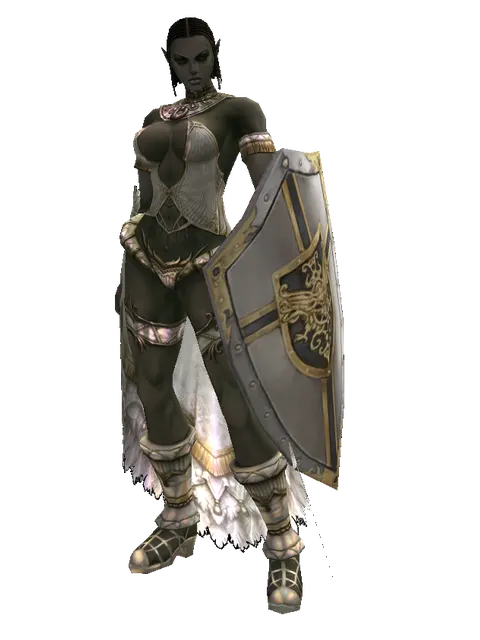 Knight's Shield on a female Orc fighter, front view