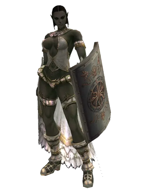 Tower Shield on a female Orc fighter, front view
