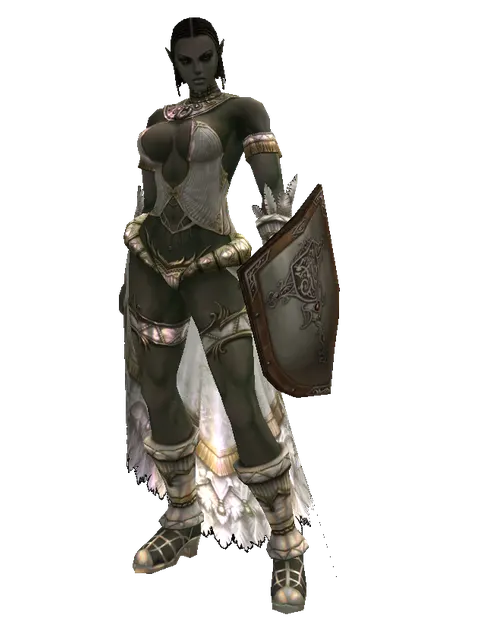 Ubiquitous Shield on a female Orc fighter, front view