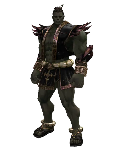 Bird Nest on a male Orc fighter, front view