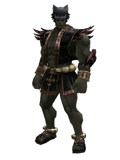 Kai the Cat Hat on a male Orc fighter, front view
