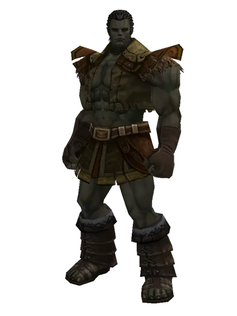 Hard Leather (light armor) on a male Orc fighter, front view